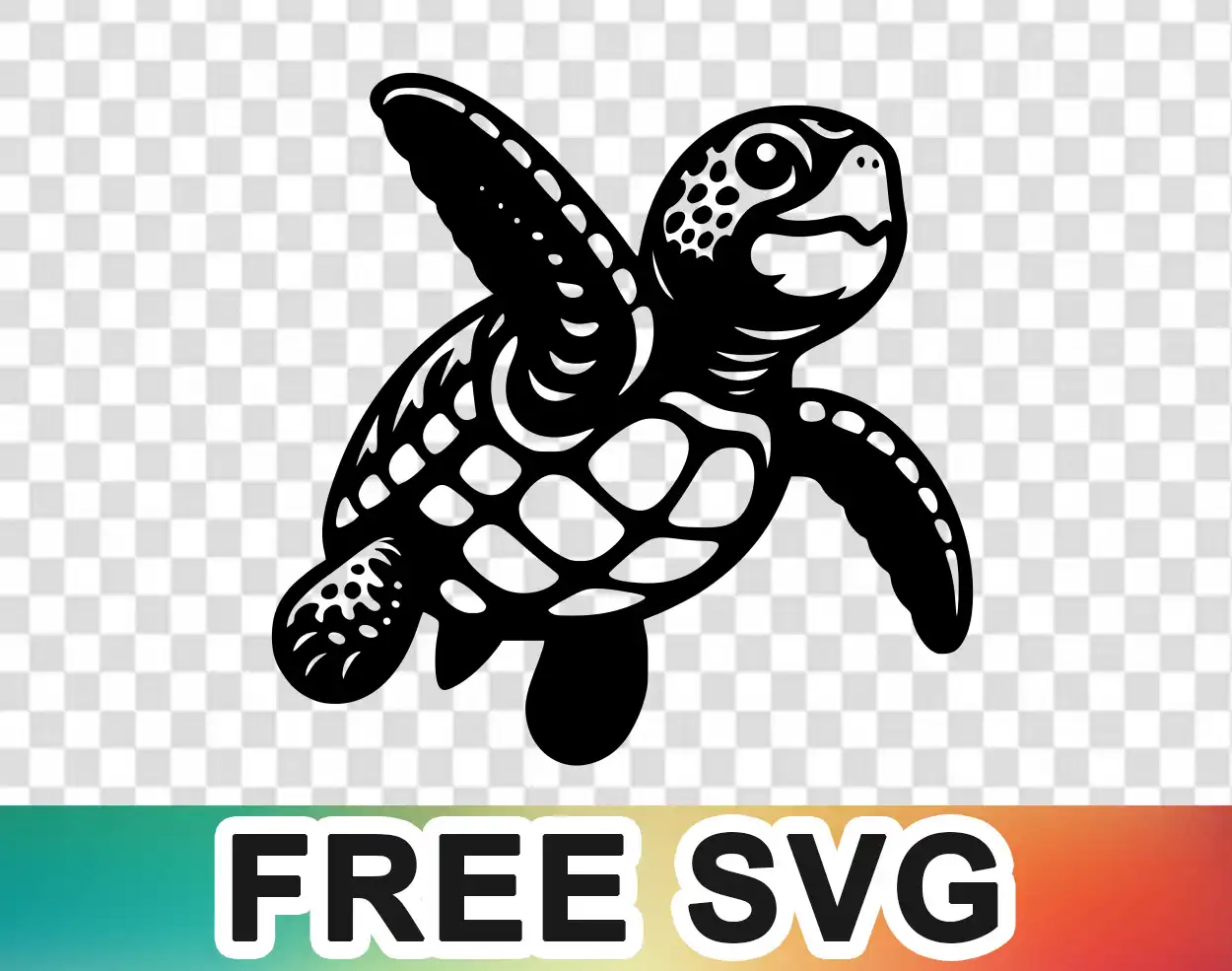 Baby Turtle Svg download Baby Turtle Svg free