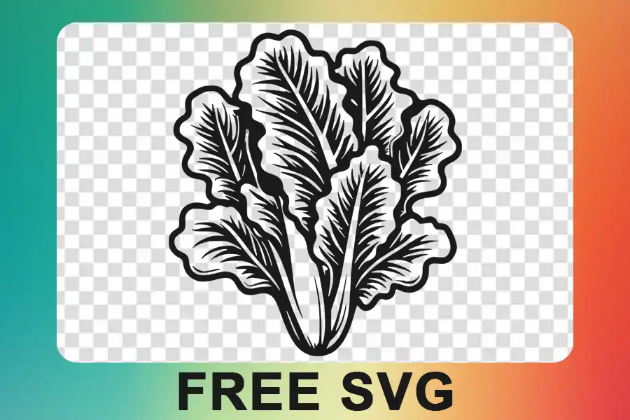 Lettuce Svg free