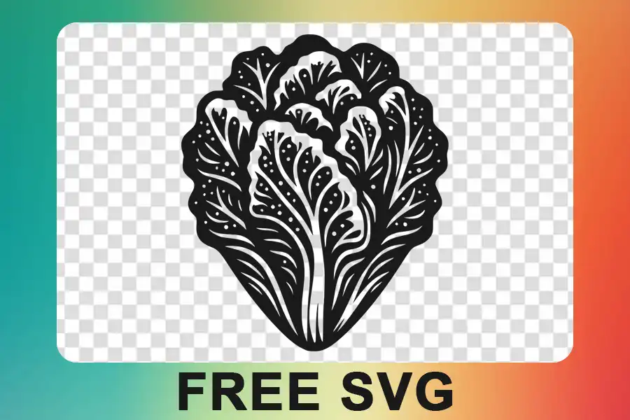 Lettuce Vector Svg Icon free