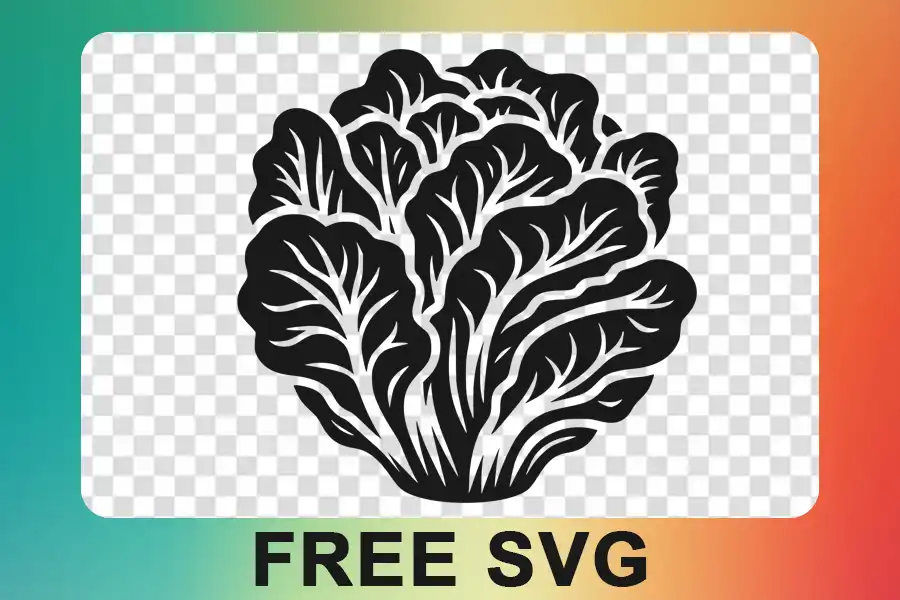 Lettuce Svg Lettuce Head Png Cut File Silhouette Download Drawing Illustrations download Lettuce Svg Lettuce Head Png Cut File Silhouette Download Drawing Illustrations free