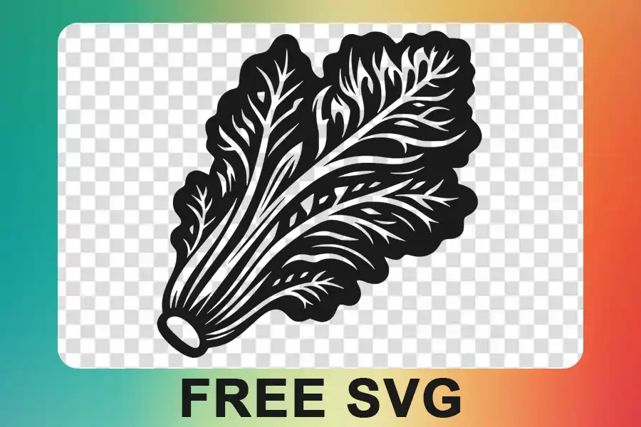 Lettuce Svg, Greenery, Food, Romaine Salad, Vegetable, Cricut download Lettuce Svg, Greenery, Food, Romaine Salad, Vegetable, Cricut free