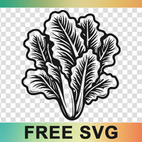 Lettuce Svg