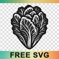 Lettuce Vector Svg Icon