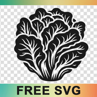 Lettuce Svg Lettuce Head Png Cut File Silhouette Download Drawing Illustrations