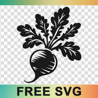 Radish Silhouette Svg